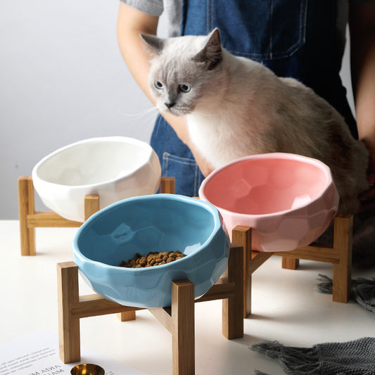Pet Feeders | CasaFoyer Ceramic Bowl for Pets with Stand | casafoyer.myshopify.com