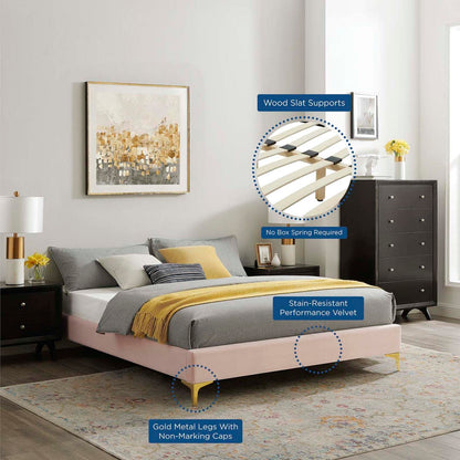 bed frames | CasaFoyer Sutton Performance Velvet Twin Bed Frame | Stain-Resistant | Durable | Gold Metal Legs | Non-Marking Foot Caps | Easy Assembly | Twin Size | 800 lbs Weight Capacity | casafoyer.myshopify.com