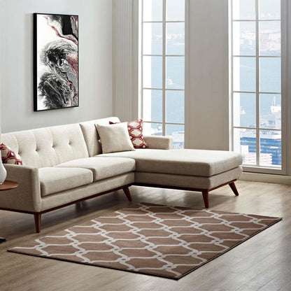Carpet & Rugs | CasaFoyer Beltara Chain Link Transitional Trellis Area Rug | Durable, Stain Resistant | 8x10 | Dark Tan & Beige | casafoyer.myshopify.com