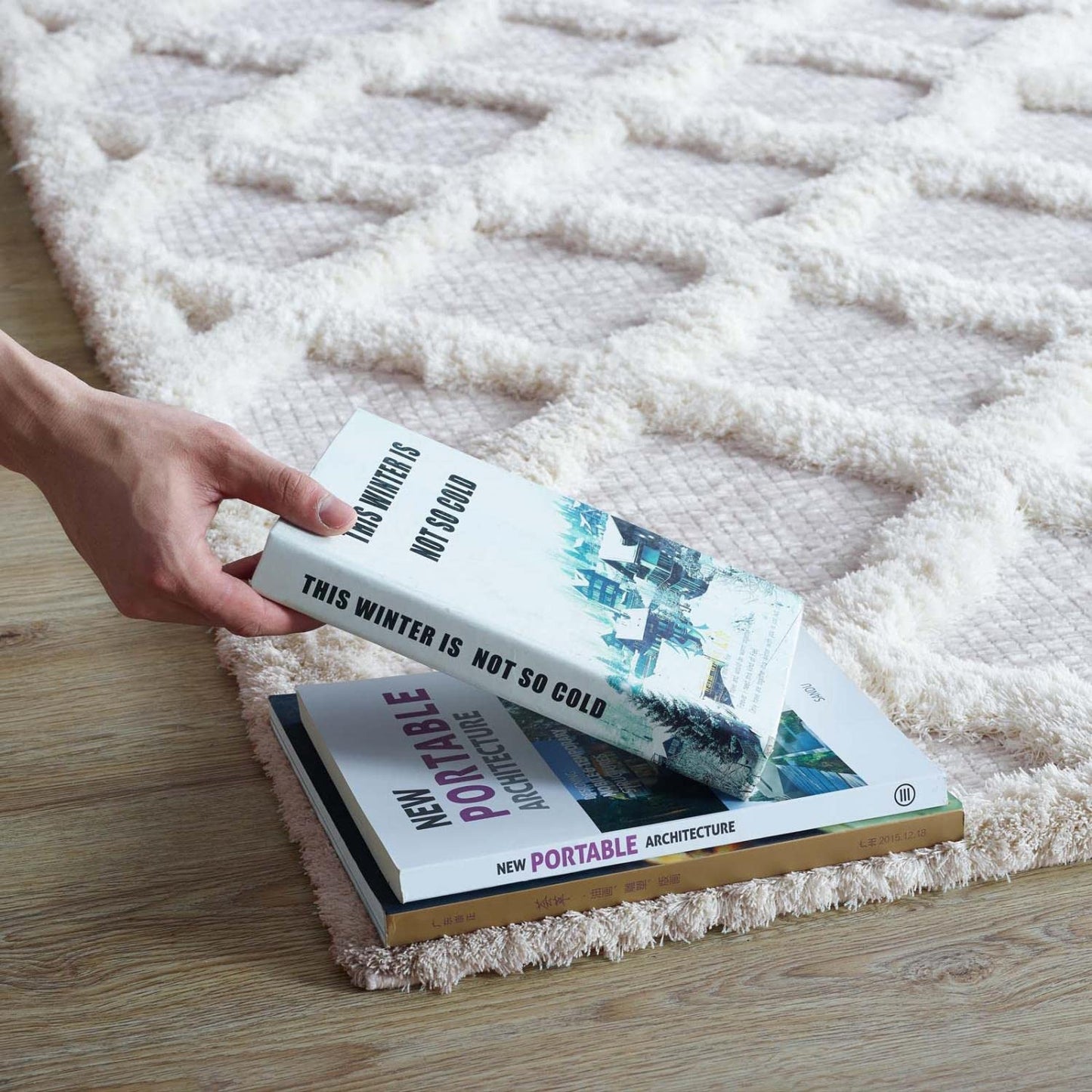 area rugs | CasaFoyer Regale Abstract Moroccan Trellis 5x8 Shag Area Rug | Elegant Ivory & Light Gray | Luxurious Polyester & Chenille Blend | Durable & Family-Friendly | Lively Lattice Motif | Soft & Inviting | Easy to Maintain | casafoyer.myshopify.com