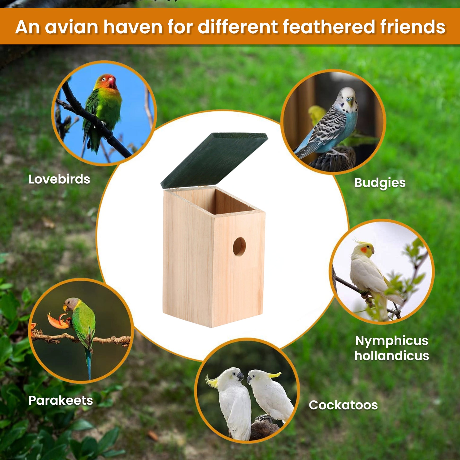 [product_type] | CasaFoyer Durable Wooden Wild Bird Nest Box - Easy Installation and Maintenance - Irresistible Haven for a Variety of Birds | casafoyer.myshopify.com