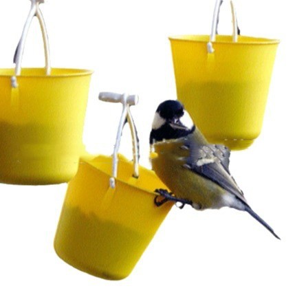 Pet Feeders | CasaFoyer Bird Outdoor Decoration Iron Feeder | casafoyer.myshopify.com