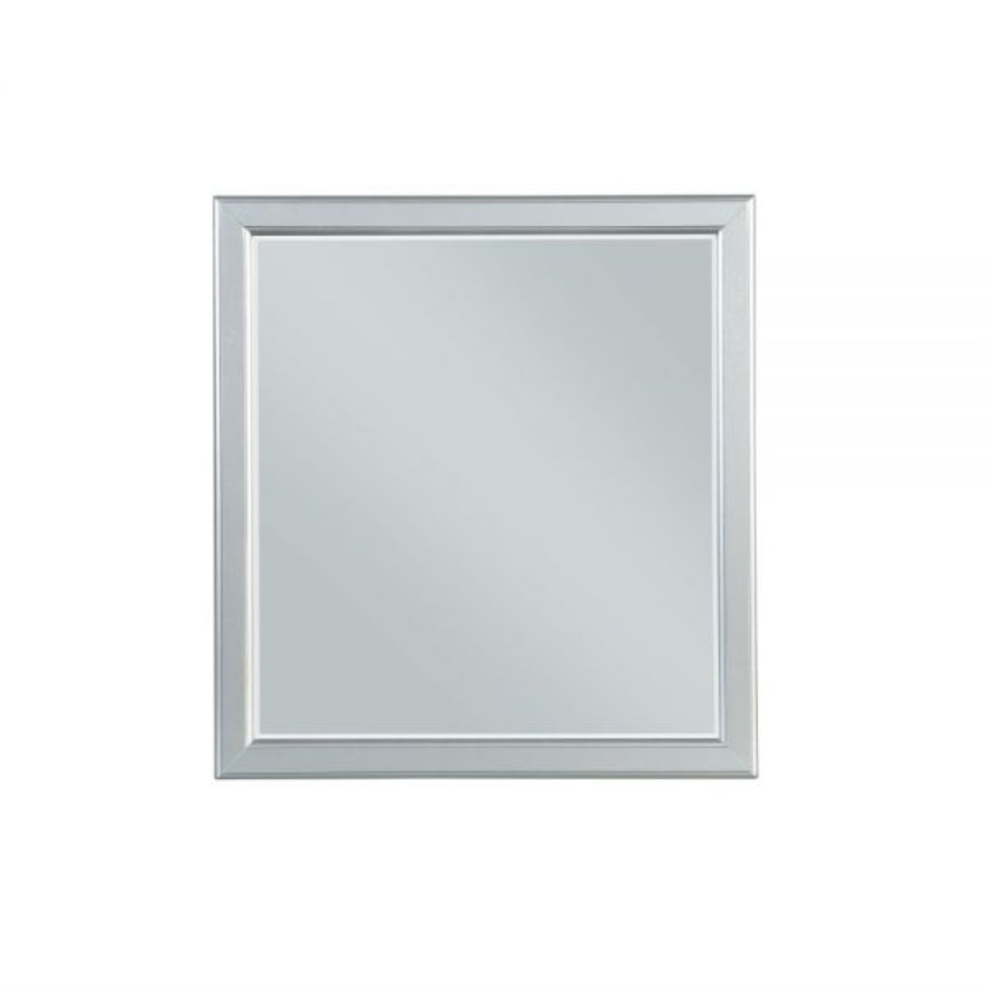 CasaFoyer Wall-Mountable Mirror | Non-Beveled | ASTM F2057 - 17 Compliant | Platinum
