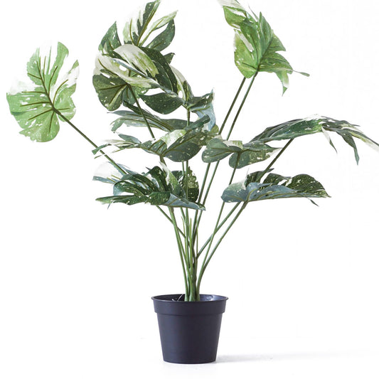 Artificial Plants & Greenery, Kitchen & Dining Features | Casafoyer Evergreen Artificial Plant - Effortlessly Elegant Home Decor - Maintenance-Free - 47x60x47cm | casafoyer.myshopify.com