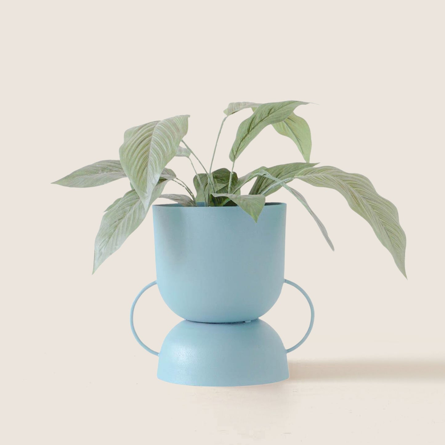 Vases, Kitchen & Dining Features | Sophisticated Vases for Mesmerizing Displays | Variety of Shapes, Sizes & Colors | Iron Construction with Polished Finish | Enhance Any Room | casafoyer.myshopify.com